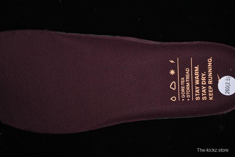 Nike Air Zoom Pegasus 41 GTX Running Shoes with Mesh Breathable Lightweight Design - FQ1356-003